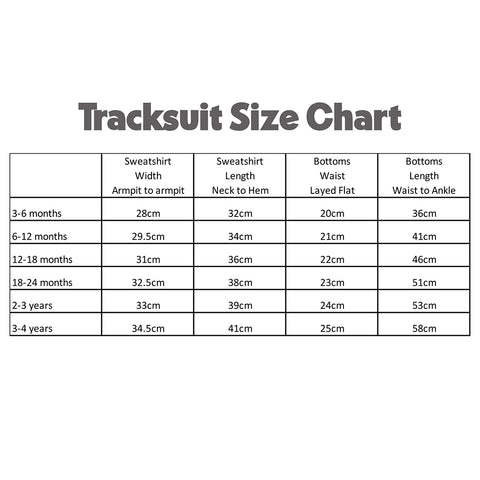 First Birthday Tracksuit - Neutral Dinosaurs